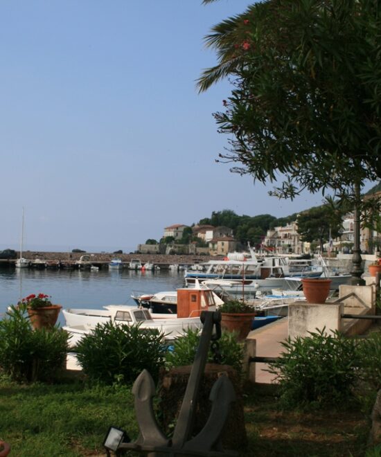 Scario