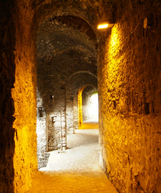 Vibonati