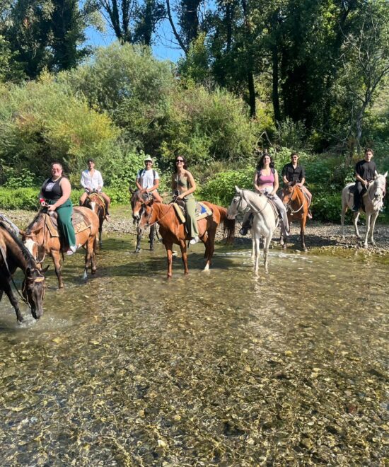 San fantino ranch policastro