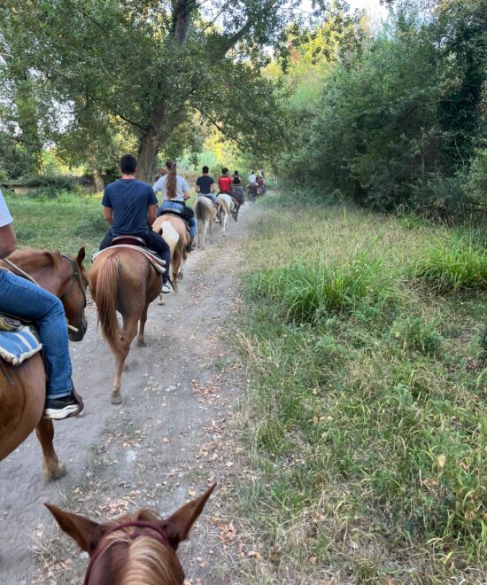 San fantino ranch policastro