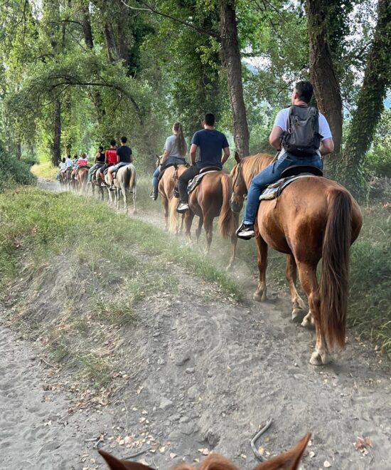 San fantino ranch policastro